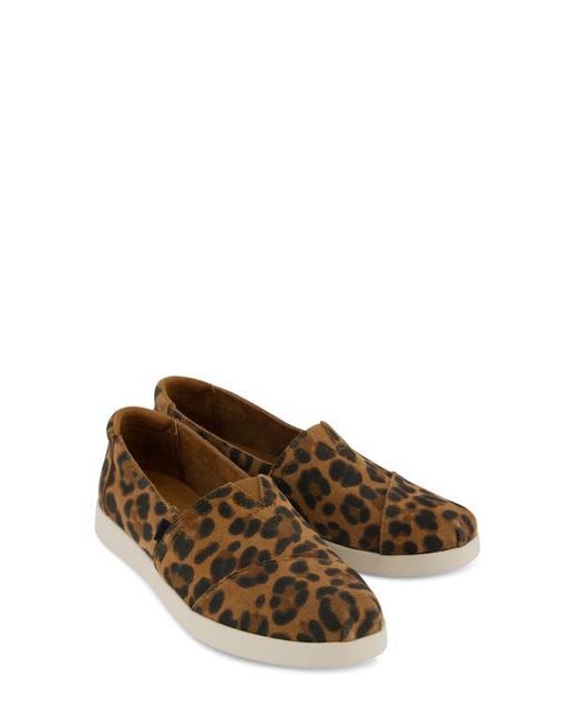 TOMS Brown Alpargata Plus Slip-On