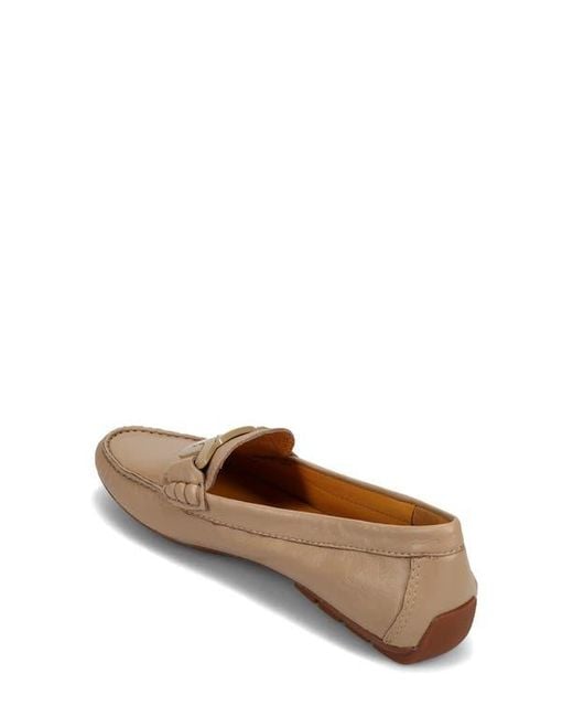 Vaneli Brown Aiker Driving Loafer