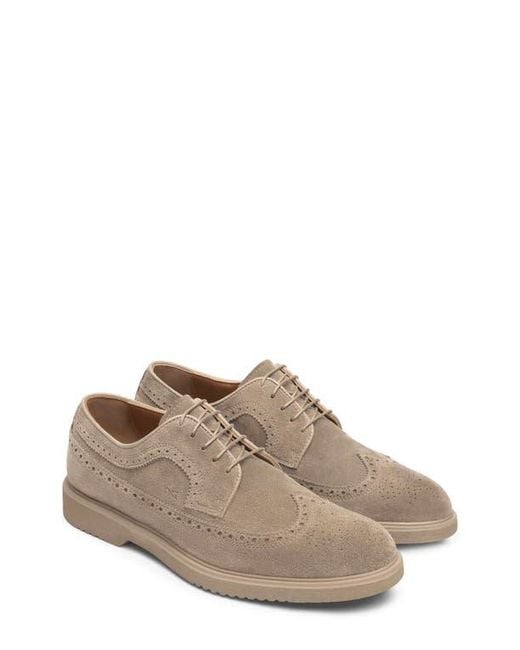 Nero Giardini Brown Wingtip Derby for men