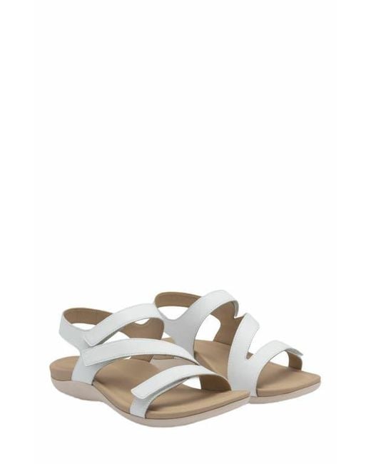 ABEO Metallic Oasis Sandal
