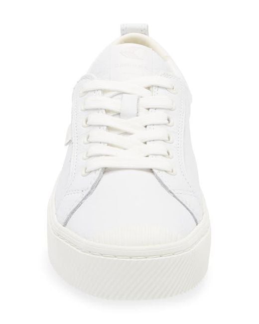 CARIUMA White Oca Low Cap Tie Sneaker