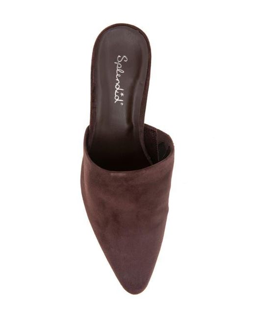Splendid Brown Lorelei Mule