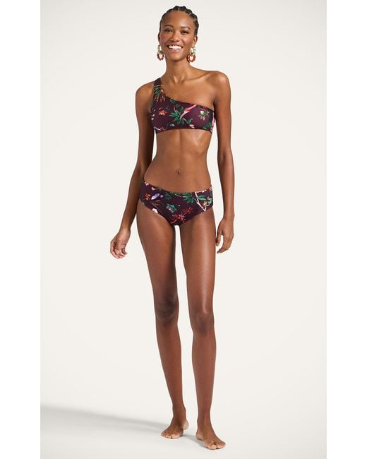 LaDoubleJ Multicolor Boy Brief