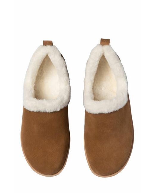 ABEO Brown Pioneer Bootie