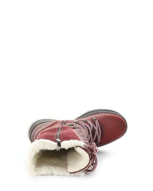 Bos. & Co. Red Dell Waterproof Wool Faux Shearling Lined Boot