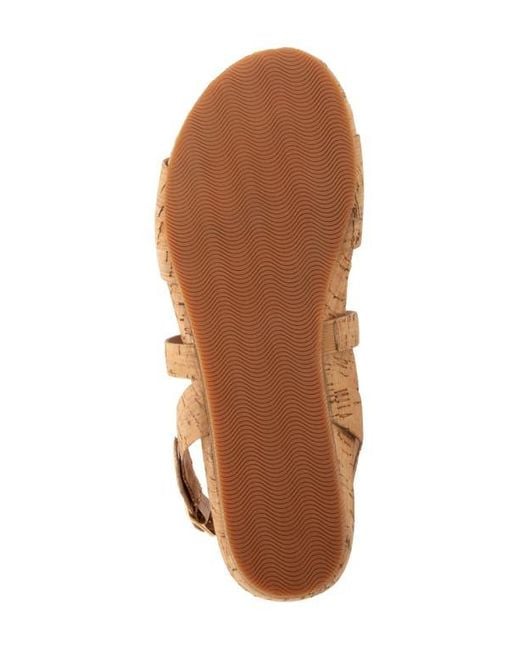 Softwalk® Brown Cali Sandal