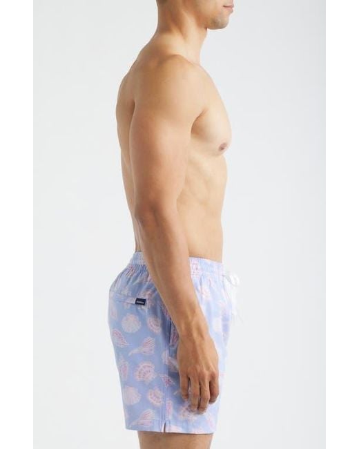 Chubbies Blue Shell Yeahs 5.5-Inch Swim Trunks for men