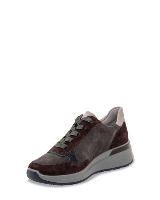 Ara Brown Gardenia Sneaker