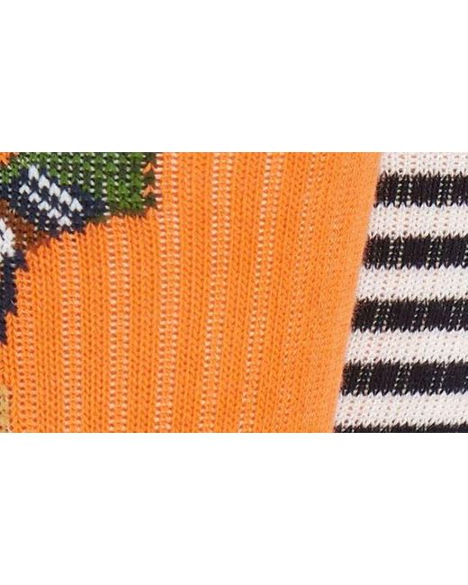 Polo Ralph Lauren Orange Assorted 2-pack Polo Bear Crew Socks for men