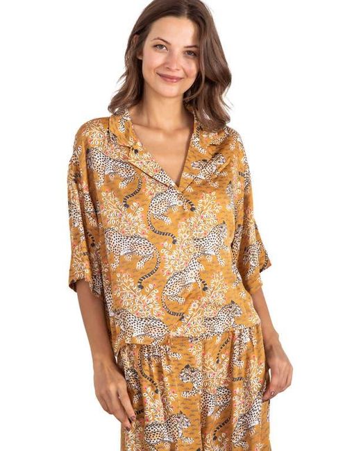 Printfresh Brown Wildest Dreams Set