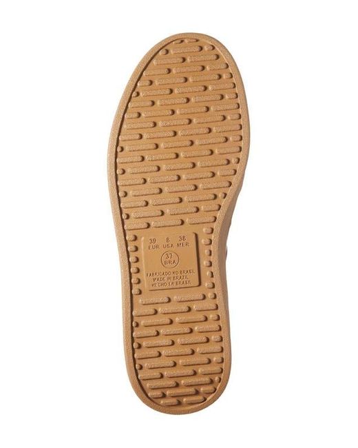 Chocolat Blu White Valox Sneaker