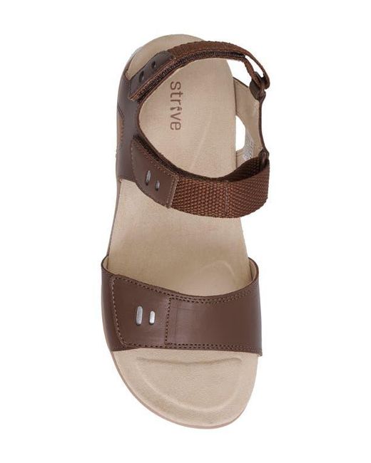Strive Brown Float Ii Sandal