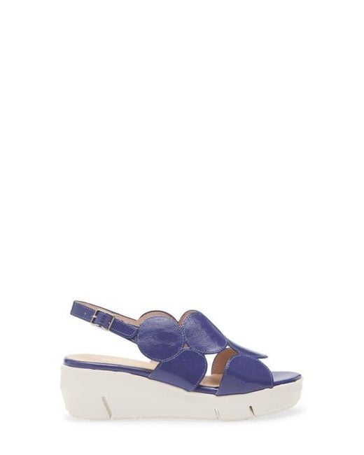 Wonders Blue Platform Sandal