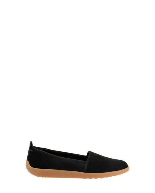Softwalk® Black Deva Flat
