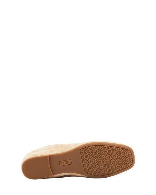 ABEO White Cadence Bow Ballet Flat