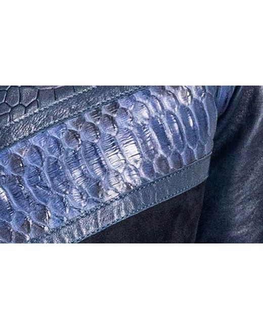 Maceoo Blue Pythonshield Snakeskin Embossed Leather Jacket for men