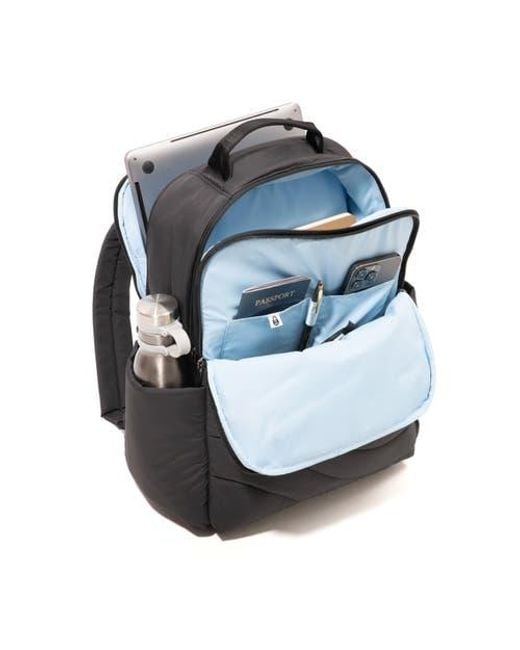 Baggallini Black Set Wave Backpack