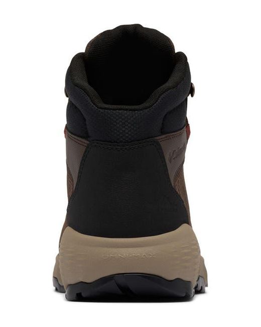 Columbia Brown Newton Wander Waterproof Hiking Boot for men