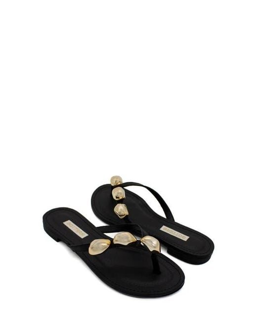 BOTTER Black Botnanda Slide