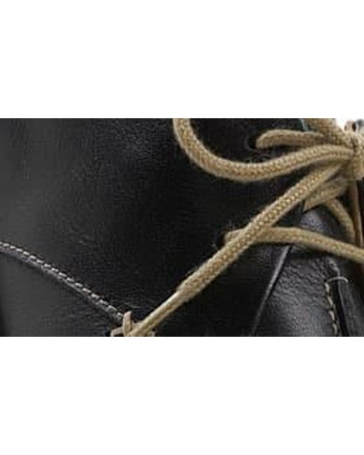 josef seibel lindsay 2