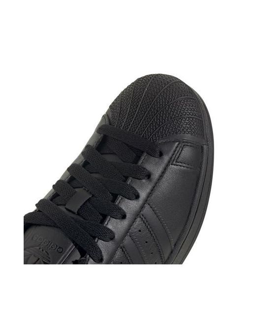 Adidas Blue Superstar Sneaker