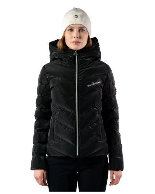 Woodpecker Black Robin Medium Weight Coat