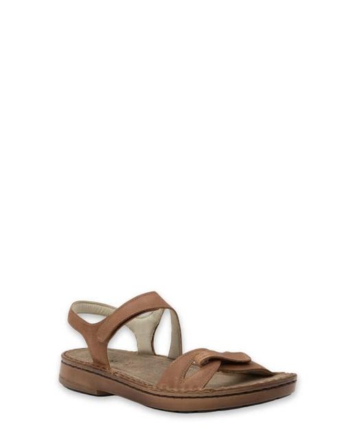 Naot Brown Evora Sandal