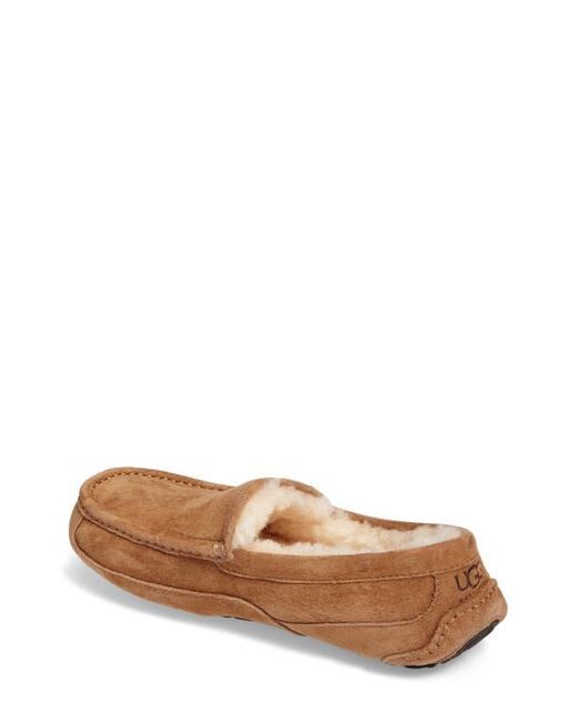 Ugg Brown Ascot Suede Slipper for men