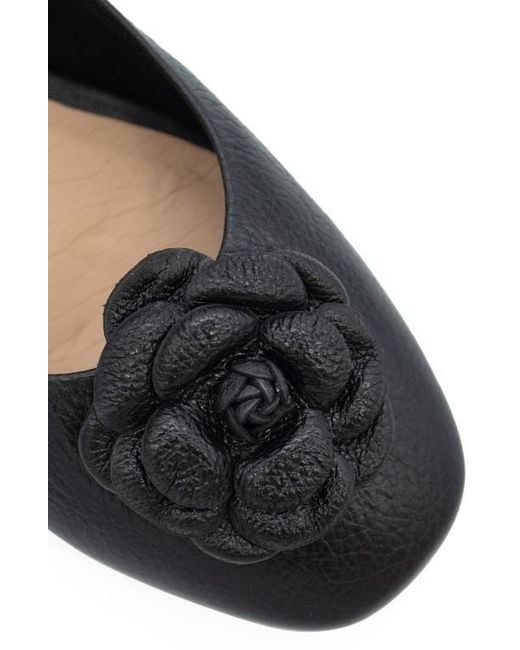BOTTER Black Botsamya Ballet Flat