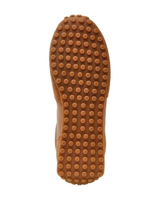 Steve Madden Brown Casper Sneaker