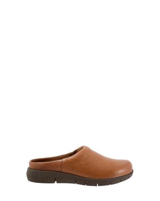 Softwalk® Brown Andria Mule
