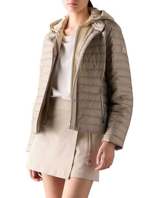 Moose Knuckles Brown Cloud Walker 800 Fill Power Down Jacket