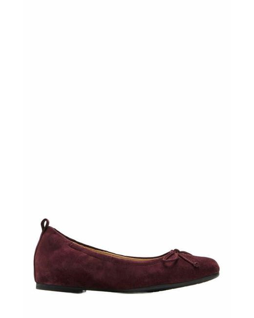 ABEO Brown Cadence Bow Ballet Flat