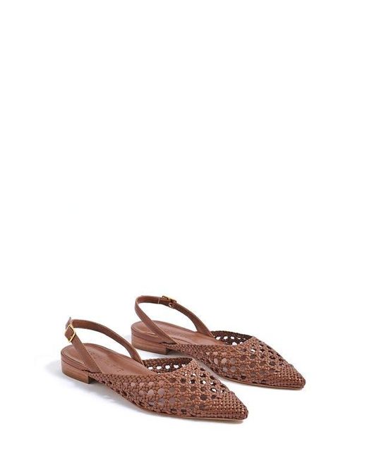 Marion Parke Brown Patty Slingback Pointed Cap Toe Flat