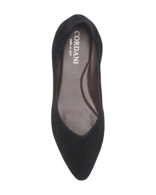 Cordani Blue Mavis Pointed Toe Flat