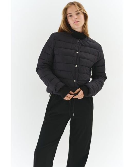 H&M Black Quilted Jacket