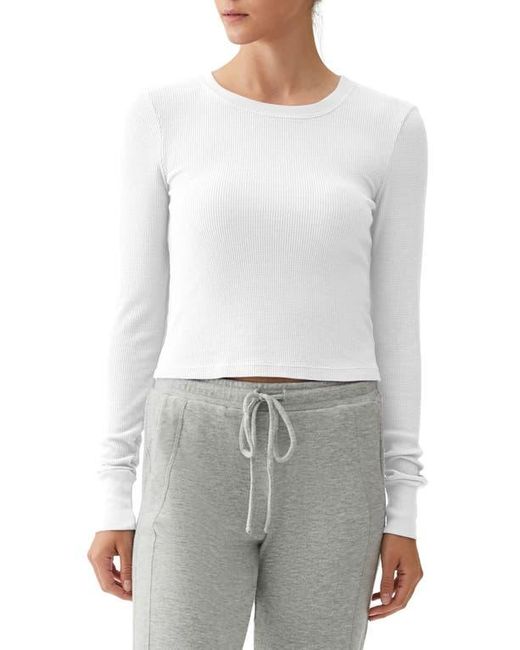 Michael Stars Gray Palmer Cropped Long Sleeve Thermal T-Shirt