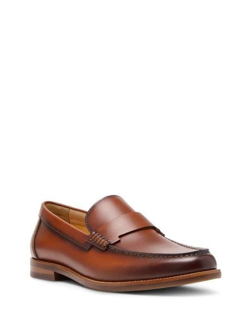 Steve Madden Brown Colver Loafer for men