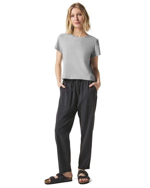 Splendid Gray Lousia Short Sleeve T-Shirt