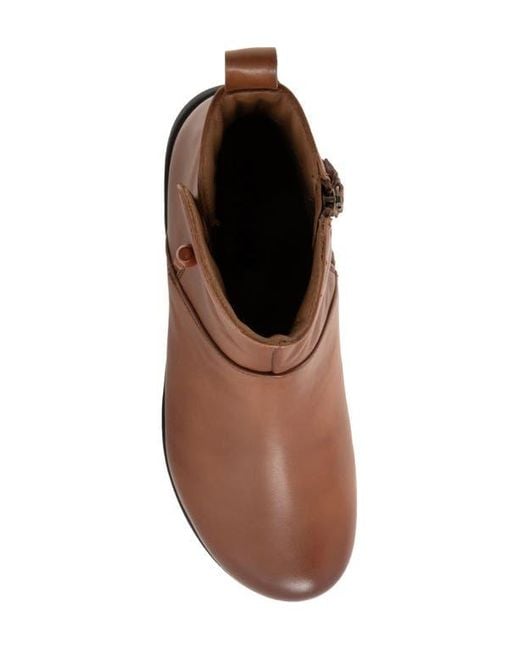Softwalk® Brown Adelaide Bootie