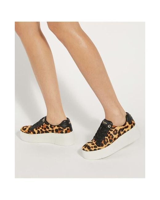 Dune White Episode Platform Sneaker