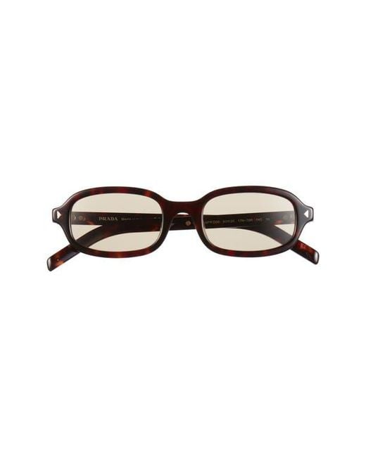 Prada Brown 50Mm Small Oval Sunglasses
