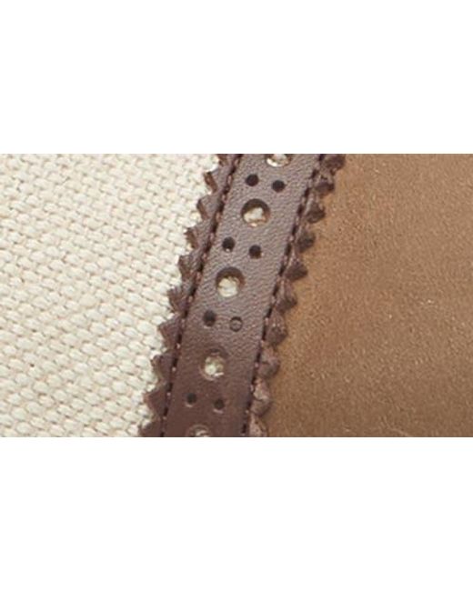 Mezlan Brown Ayna Plain Toe Oxford for men