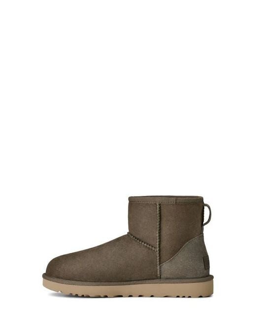 Ugg Brown Ugg Classic Mini Ii Genuine Shearling Lined Boot