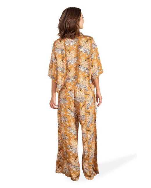 Printfresh Brown Wildest Dreams Set