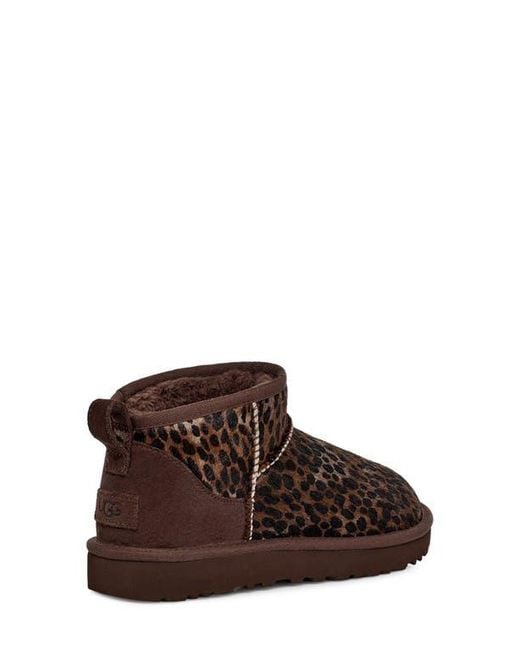 Ugg Brown Classic Mini Caspian Boots