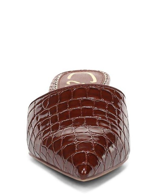Circus by Sam Edelman Brown Gemma Mule
