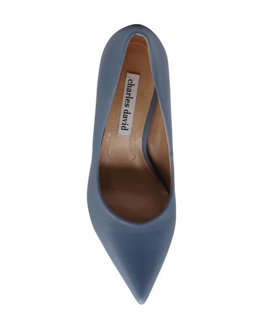 Charles David Blue Geno Pointed Toe Pump