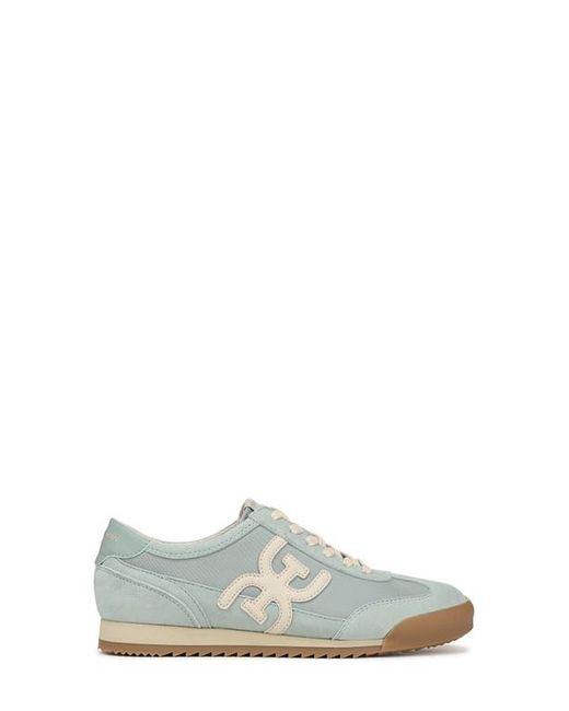 Sam Edelman Blue Ivey Sneaker