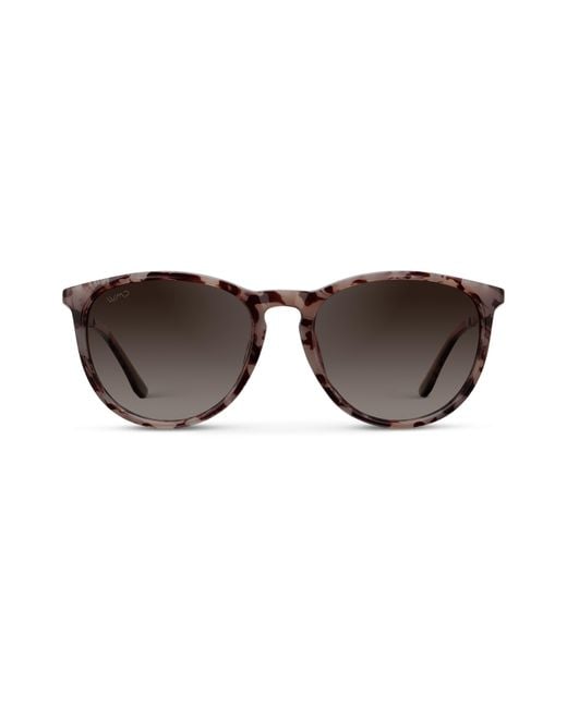 WMP Eyewear Brown Drew